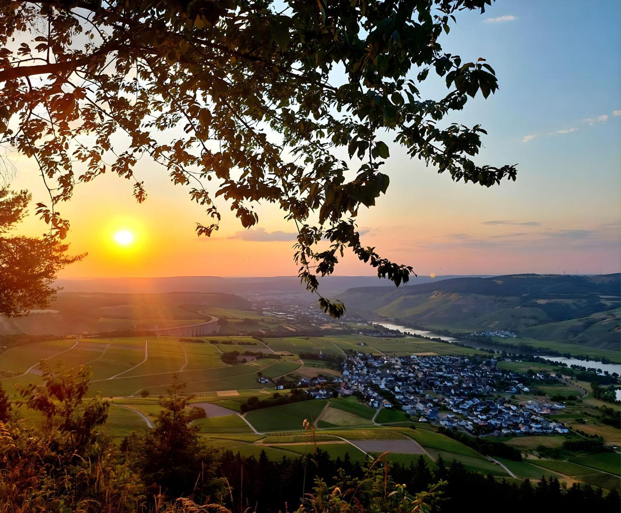 - Avelertal